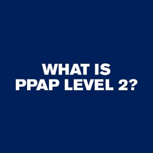 What is PPAP level 2