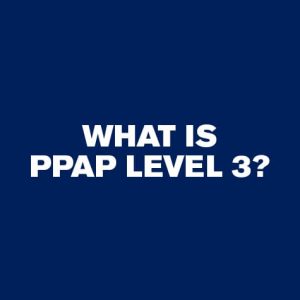 What is PPAP level 3
