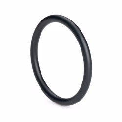 O Ring seal